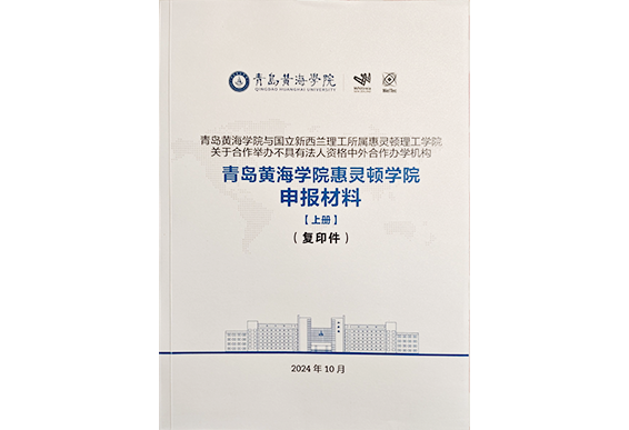 2024.10.28-发展历程